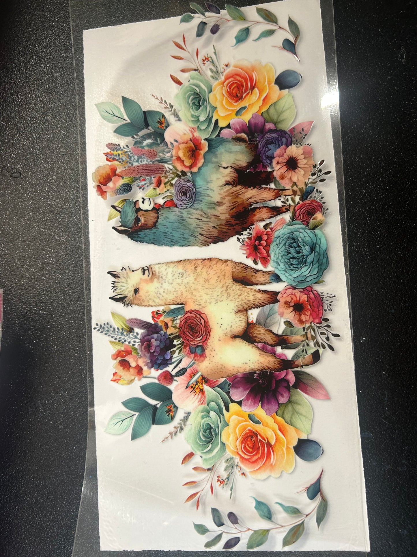 Animals