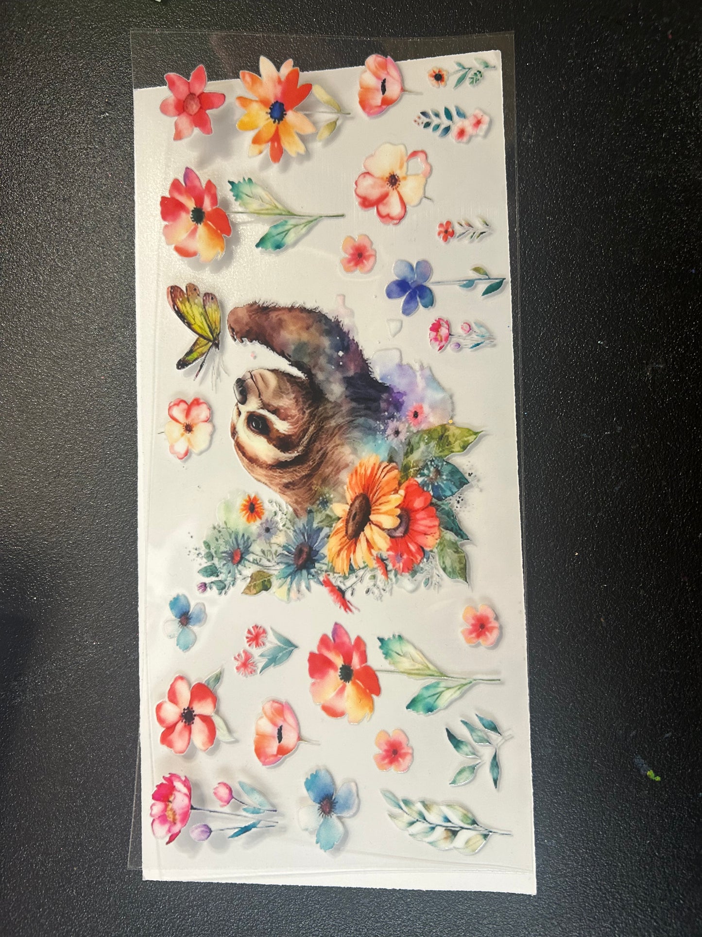 Animals