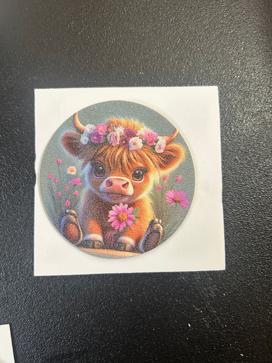 Cup and car coasters